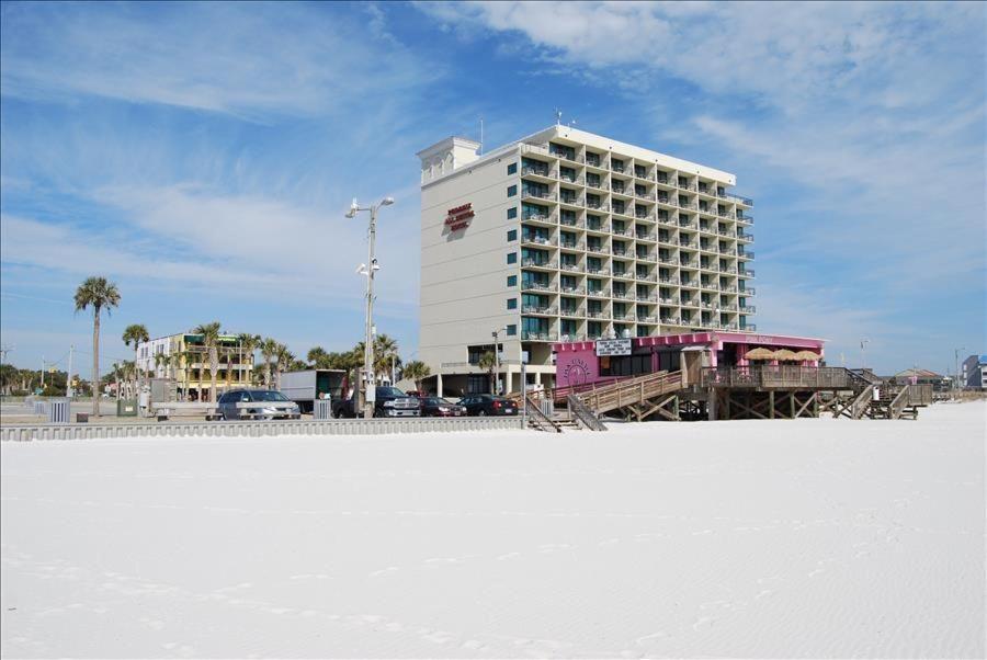Suite Retreat @ Beachview 226 Gulf Shores Eksteriør bilde